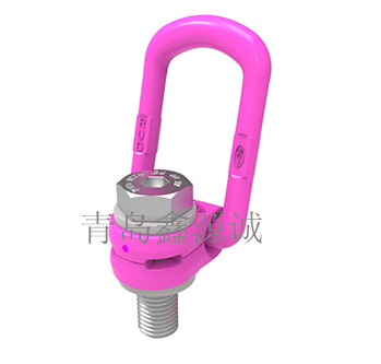 德國RUD/ VLBG/VLBG- PLUS進(jìn)口旋轉(zhuǎn)吊環(huán)/進(jìn)口吊環(huán)